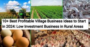 10+ Best Profitable Village Business Ideas to Start