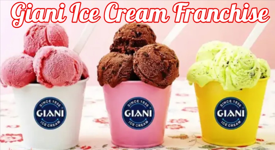 Gianis Ice Cream Gianis Ice Cream Franchise Cost and Profit Margin