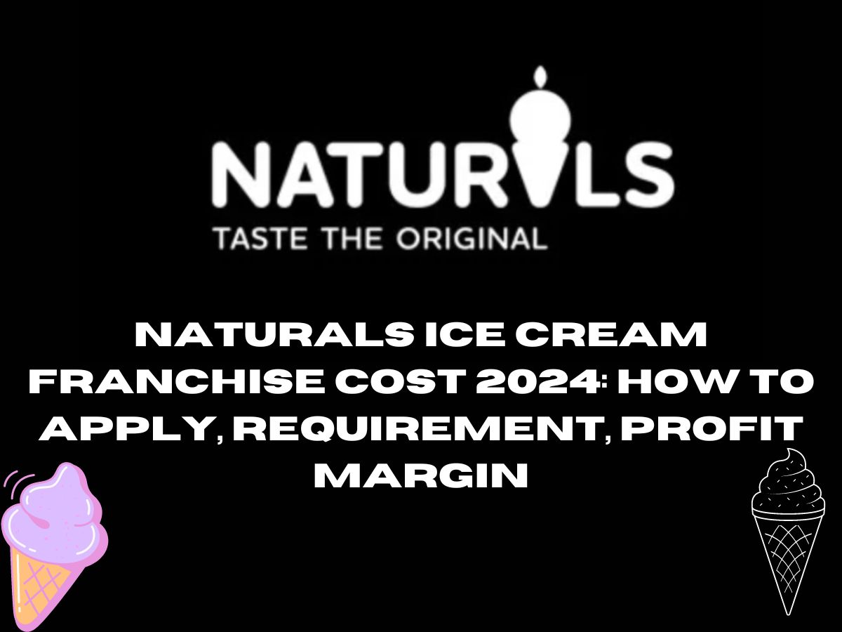 Naturals Ice Cream Franchise Cost 2024: How to Apply, Requirement, Profit Margin